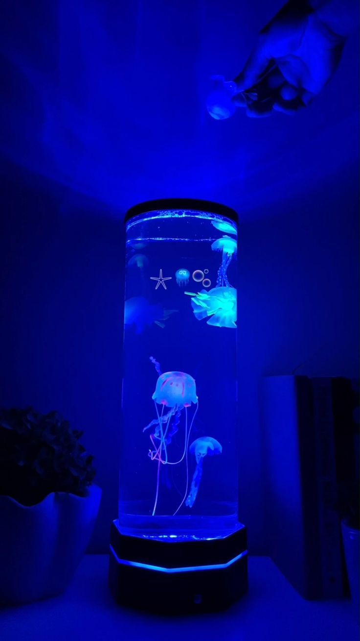 LifeStraw Personal: Seattle-Based Penstock Fund I LLC Backs Innovation in Portable Water Filtration